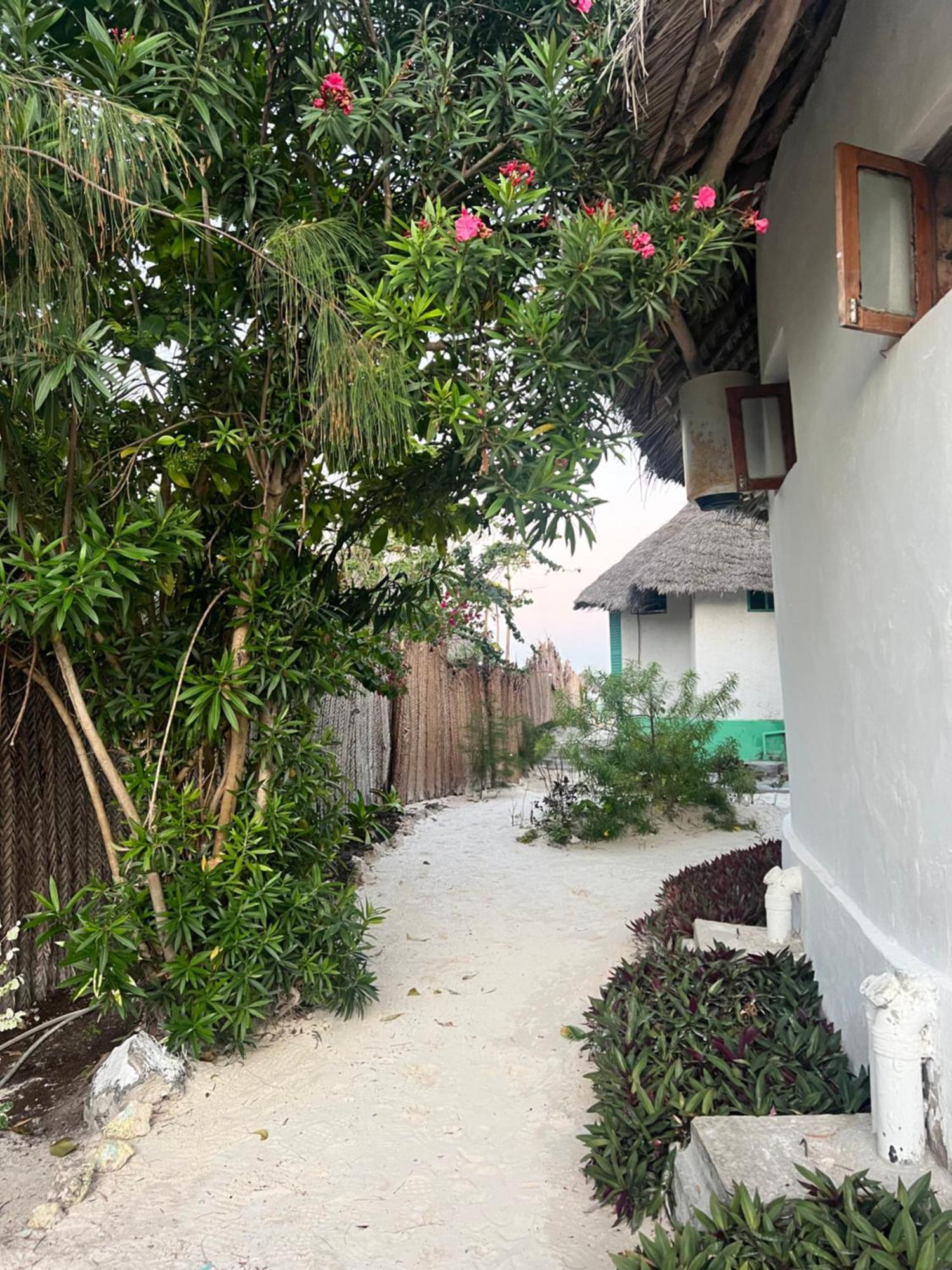 Duara Beach House Ξενοδοχείο Paje Εξωτερικό φωτογραφία